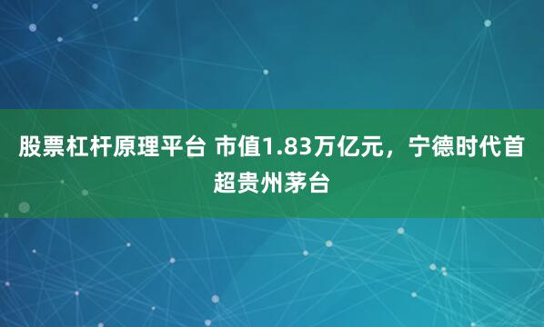 股票杠杆原理平台 市值1.83万亿元，宁德时代首超贵州茅台